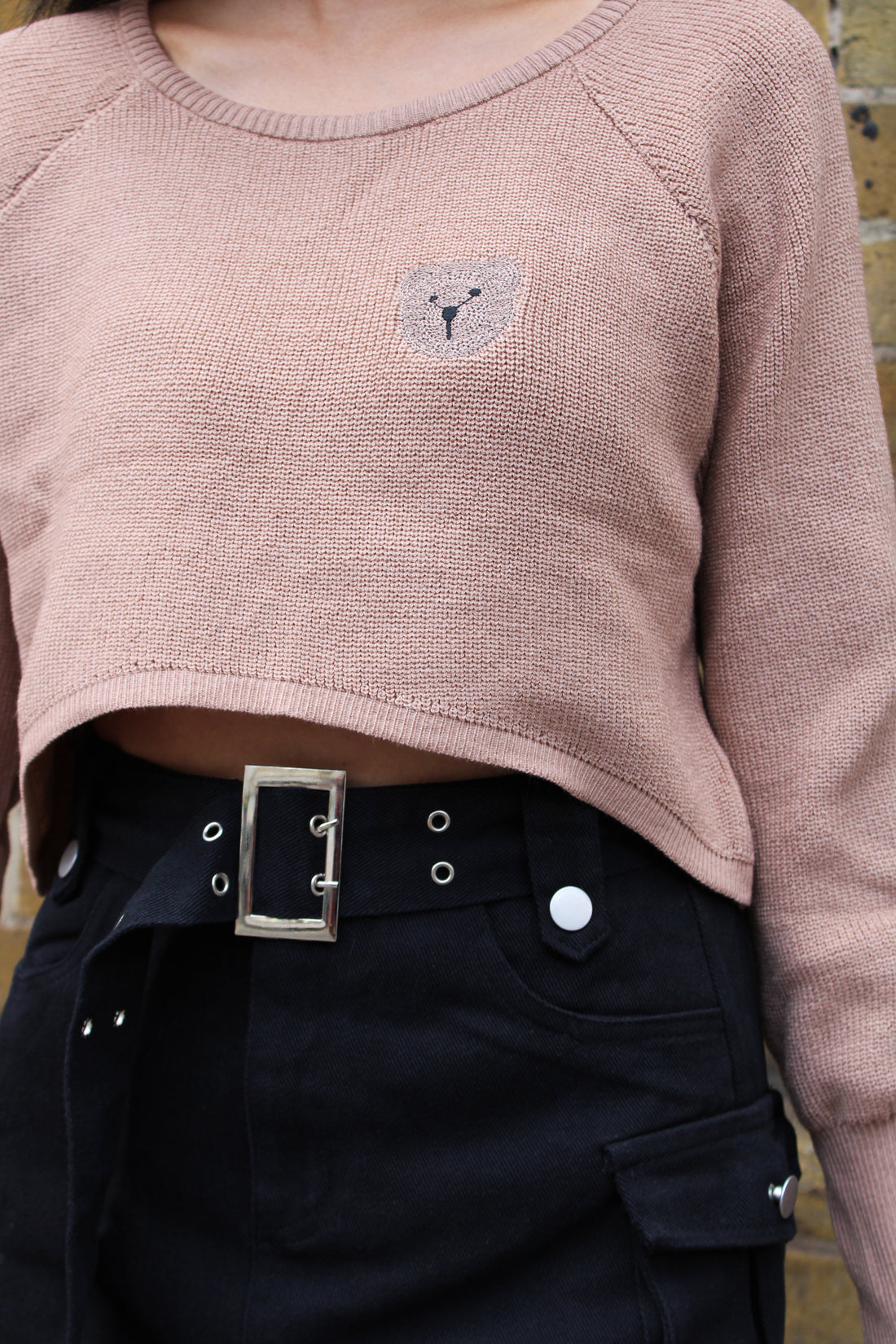 Bear With Me Knit Crop Top