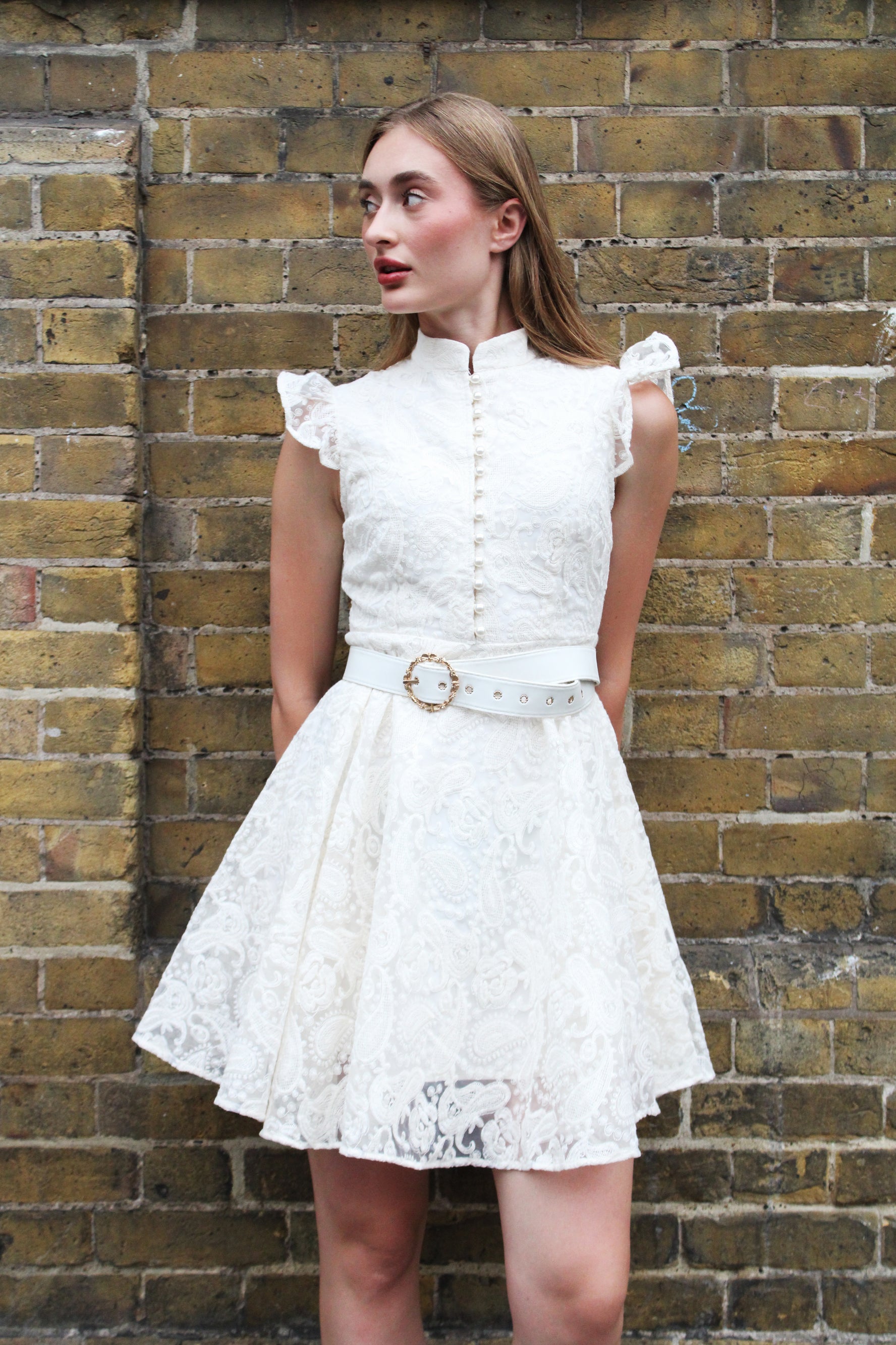 Belle Époque Embroidered Mini Dress