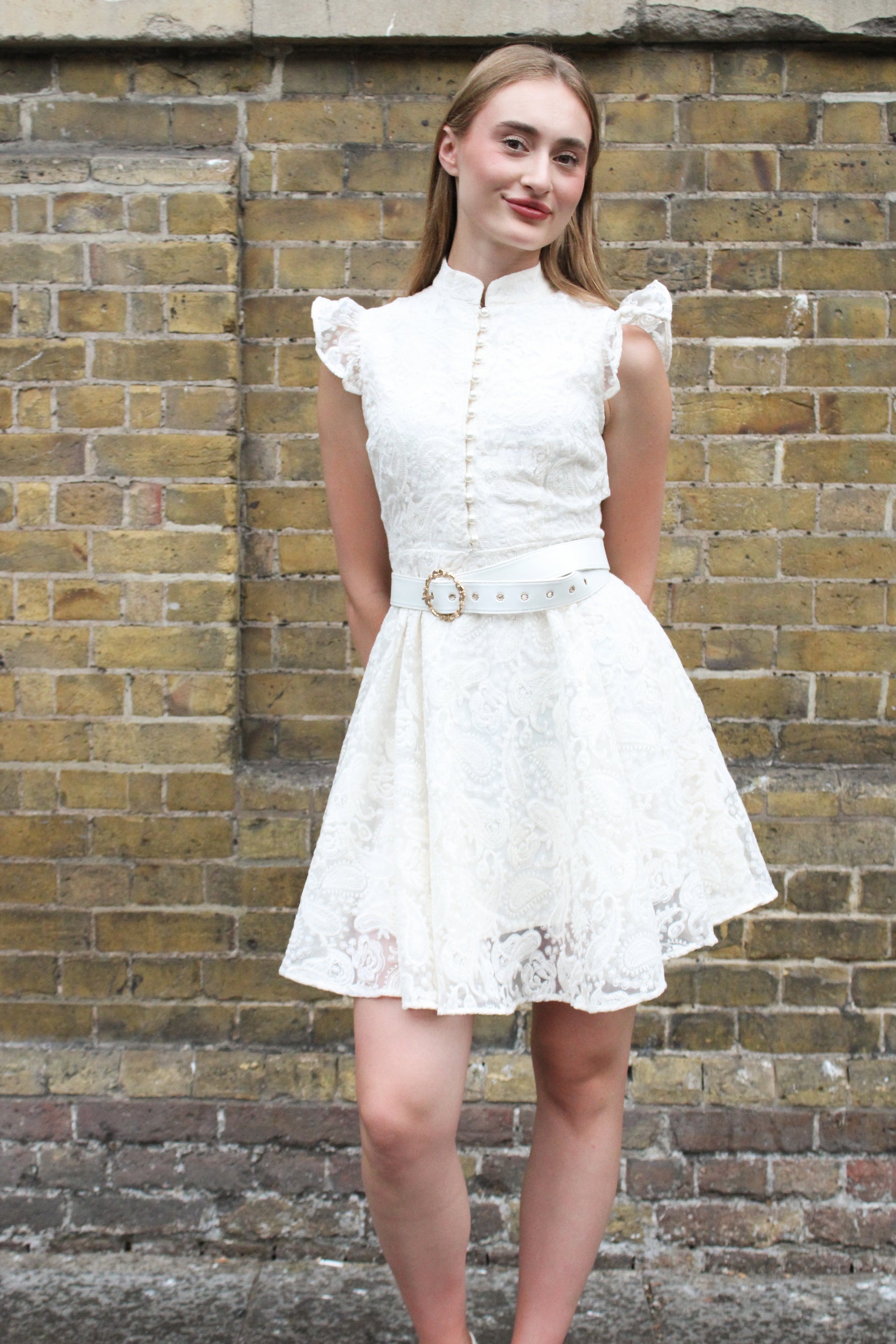 Belle Époque Embroidered Mini Dress